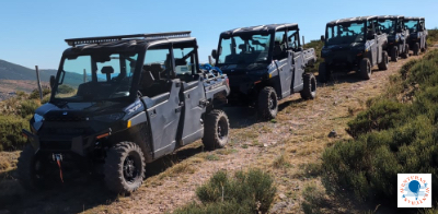 Buggy 2024 Buggy 2024